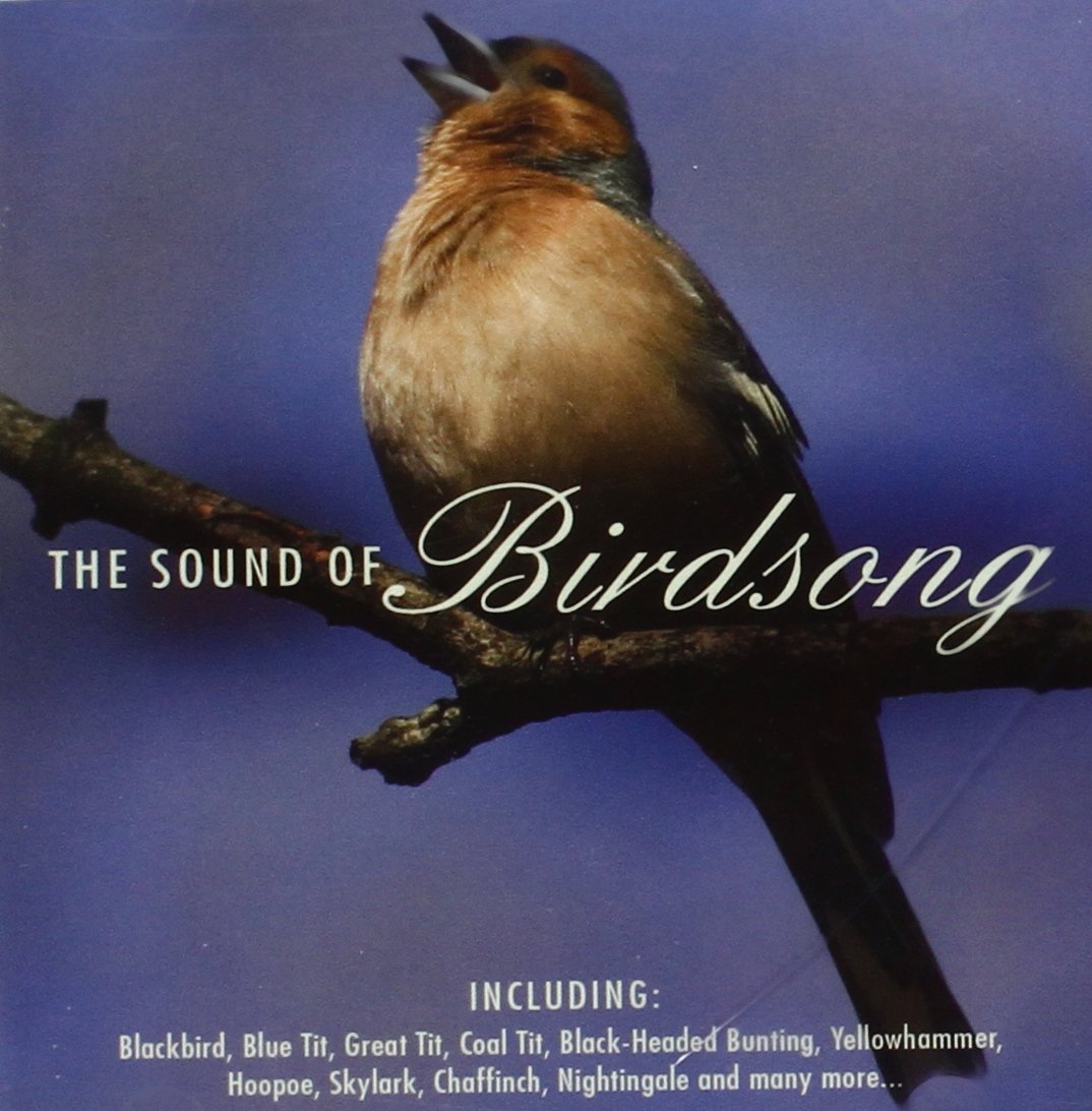 The Sound Of Birdsong Field Recordings