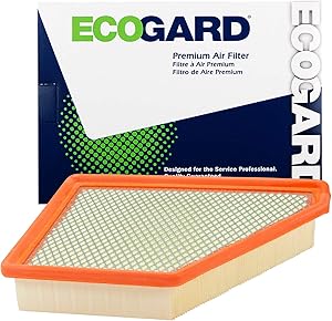 Ecogard XA6131 Premium Engine Air Filter Fits Chevrolet, Equinox 3.0L 2010-2012 | GMC 2.4L 2010-2017, Terrain 3.6L 2013-2017