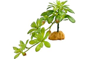 Woyrise Reptile Plants Succulent, Artificial Desert Plant for Terrarium Decor, Bearded Dragon Tank Accessories fit Gecko Lizard Chameleon Ball Python Snake - Sedum Palmeri