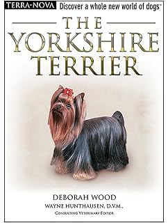 groveshire yorkshire terriers