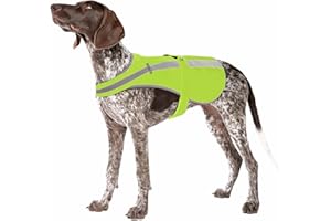 DNALLRINO Reflective Dog Vest for Small and Medium, High Visibility Dog Safety Vest with Removable Bell Keep Safe from Huntin