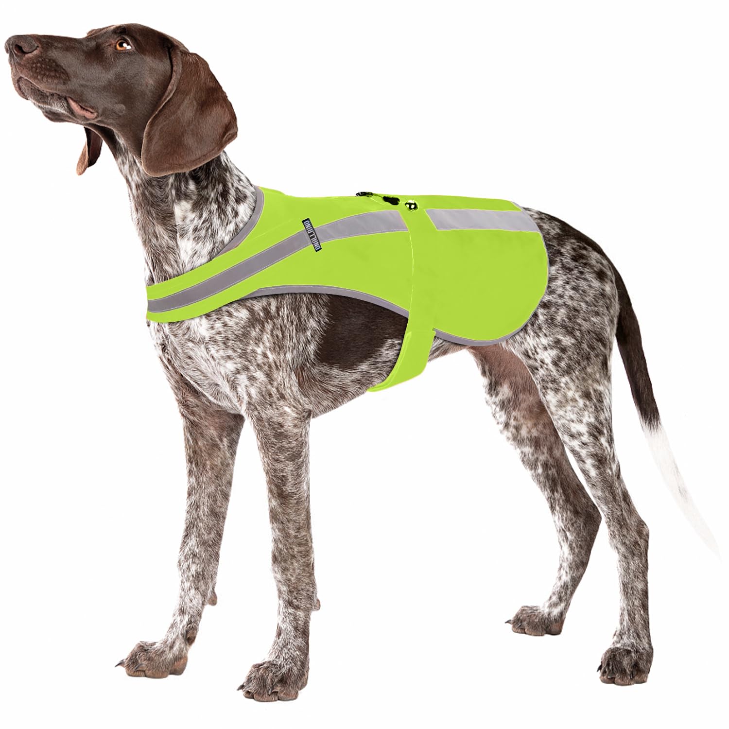 Photo 1 of Reflective Dog Vest for Medium and Large Breeds, High Visibility Dog Safety Vest with Removable Bell Keep Safe from Hunting, Training & Cars Accidents