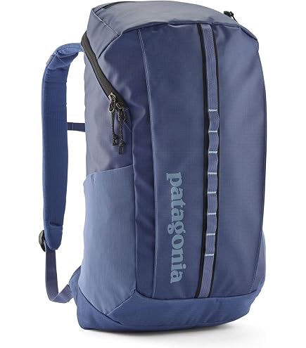 Patagonia Black Hole Pack 25L 49298 TDT : Clothing, Shoes & Jewelry
