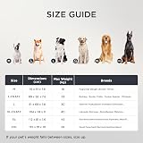 Bedsure Medium Dog Bed Washable Orthopedic Pillow 76x51x7.6cm Black view 7