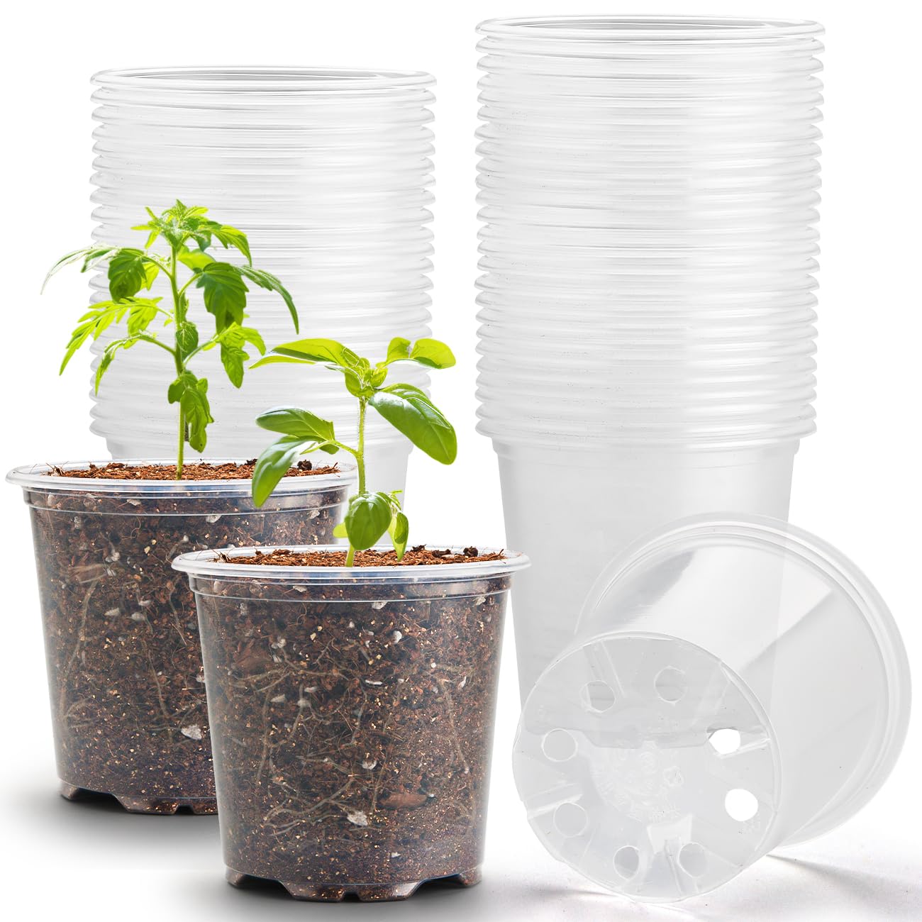 Photo 1 of RooTrimmer 3.5" Clear Seeding Pots 100-Pack Round for Seeds Starter Pots, Seeds Germination Transparent Nursery Pots with Drainage Holes (100PCS)