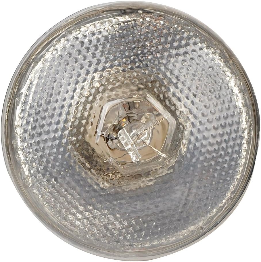 LUCKY HERP Reptile UVA UVB Mercury Vapour Bulb Lamp,E27 Screw Thread,100 Watt,160 Watt Available,Clear (100 Watt) - Image 4