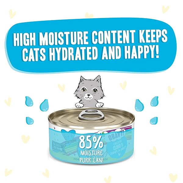 WERUVA B.F.F. OMG – BEST FELINE FRIEND OH MY GRAVY!, CHICKEN CLOUD 9 WITH CHICKEN IN GRAVY, 5.5OZ CAN (PACK OF 8)