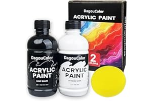 DagouColor Acrylic Paints Set - 2 Colors * 250ml Art Craft Paint Bottles, 1 Sponge, Premium Art Supplies Gifts for Artists Be