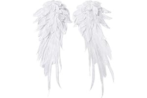 Onwon 1 Pair 3D Angel Wings Embroidered Neckline Lace Trim Applique Sewing On Patches White Small