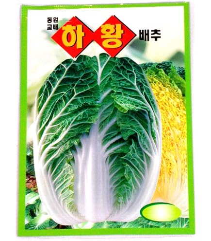 radish ラディッシュCD 2枚組 radish ラディッシュCD 2枚組