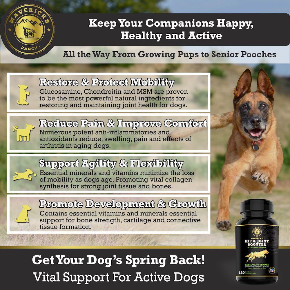 Mavericks Ranch Hip and Joint Supplement For Dogs | Best Canine Glucosamine Chondroitin, MSM & Vitamins C & E | 30-120 Day Support | 100% Natural & Made In USA | FDA | Chews Treats