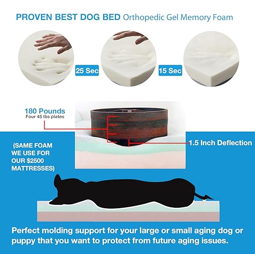 Amazon.com : Back Support Systems Dog Bed, Top Dog, Gel Memory Foam, Medium, Chocolate/Brown : Pet Supplies