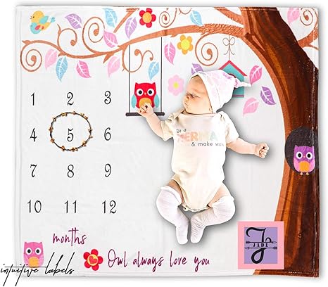 personalized baby girl milestone blanket