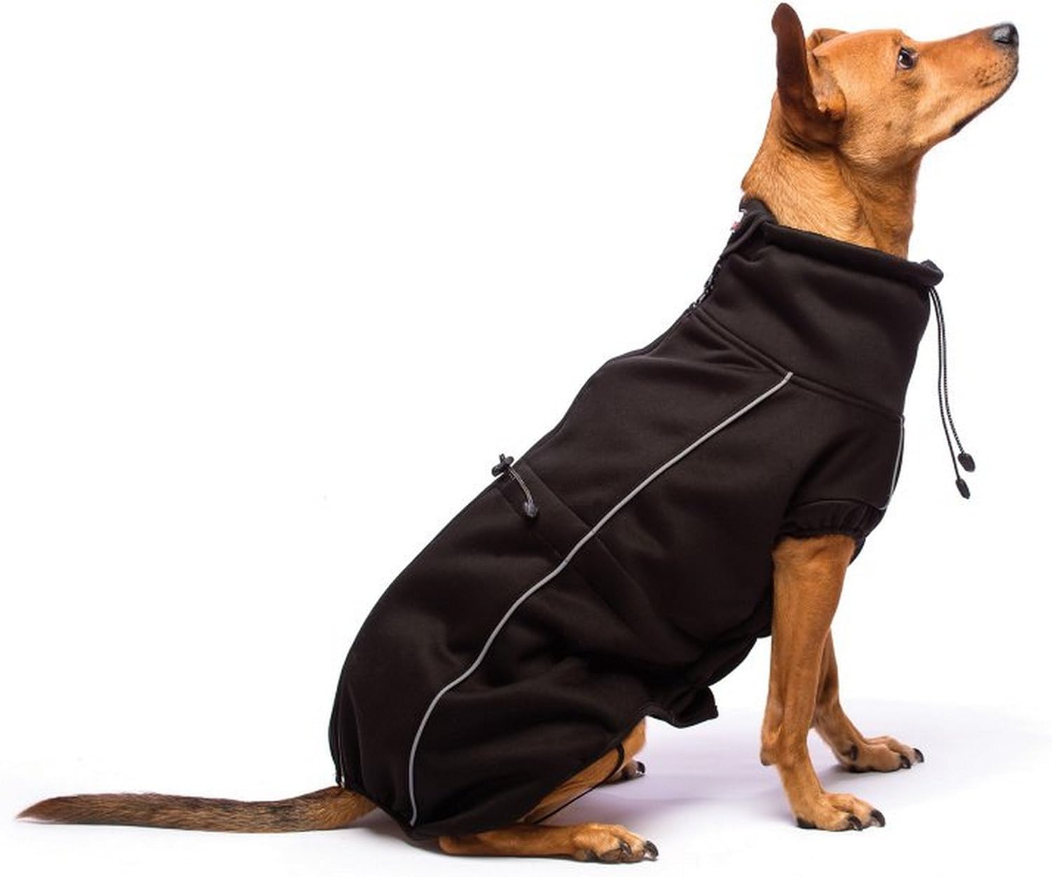 Dog Gone Smart Olympia Soft Shell Coat Black 16"