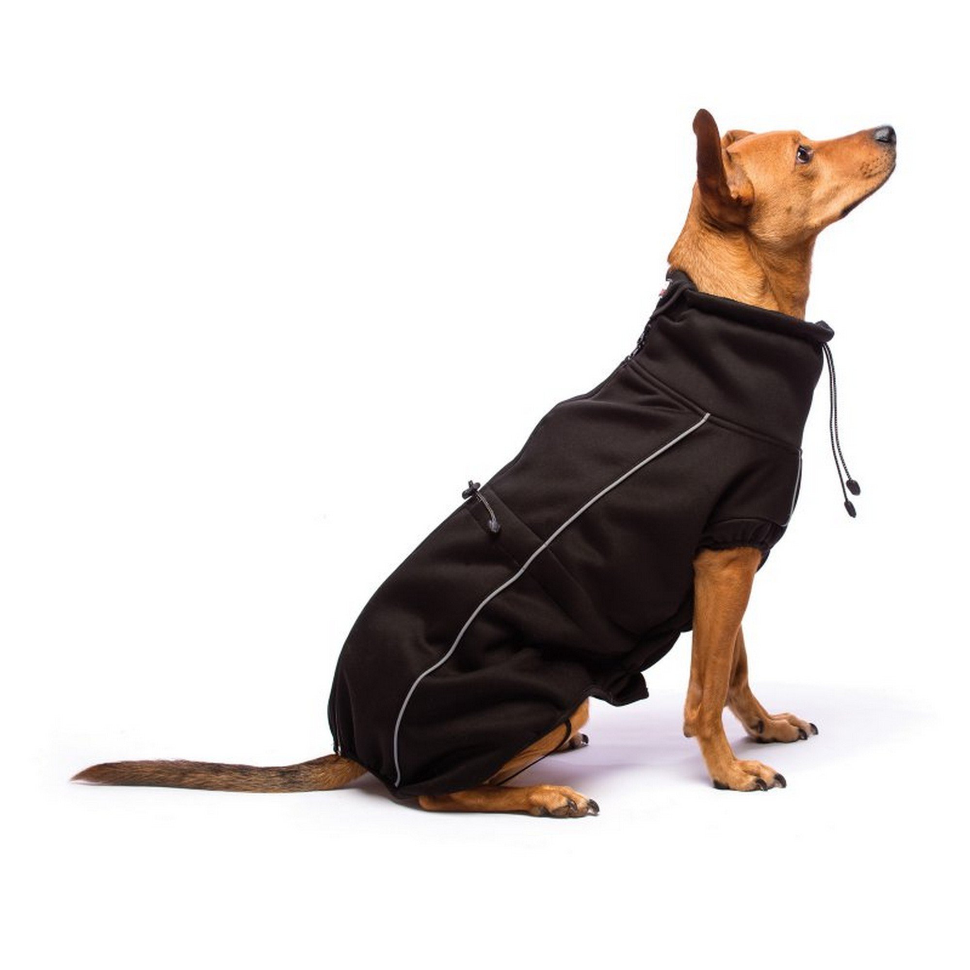 Dog Gone Smart Olympia Soft Shell Coat Black 16"