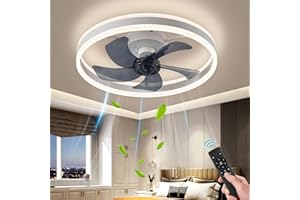 AHAWILL Fandelier Ceiling Fans with Lights and Remote,Modern Flush Mount Ceiling Fan with Light 6 Speeds Timing,Low Profile Ceiling Fans for Bedroom,Study,Dining Room,etc.(19.7" White)