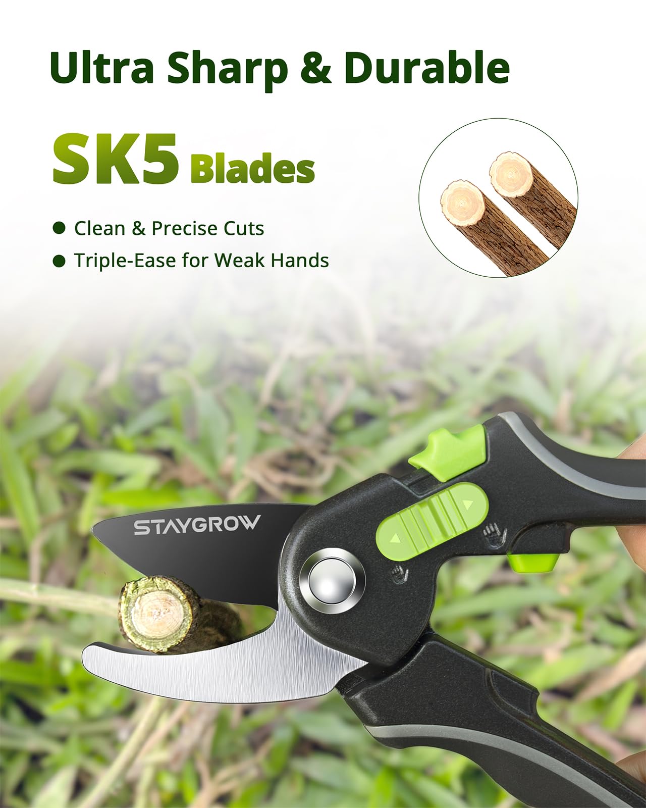 Pruning Shears for Gardening - 8.5