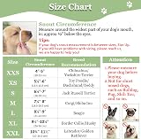 Mayerzon Dog Muzzle Soft Mesh Puppy Small to Large Breeds Breathable view 4