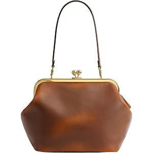 Coach Women's Kisslock Frame Bag 27