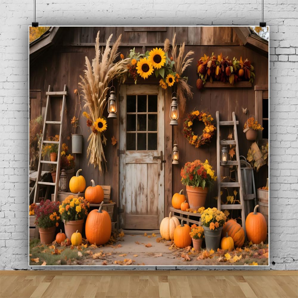 Photo 1 of 10x10ft Fall Photo Backdrop Rustic Wooden Barn Door Pumpkin Harvest Backdrop Country Fall Festival Backdrops for Photoshoot Thanksgiving Decorations Photographic Studio Photo Backgrounds
