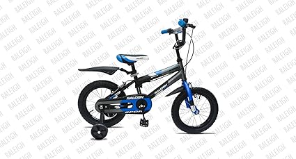 raleigh kids bicycle