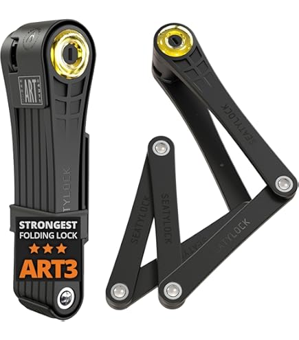 Amazon.com: ABUS Bordo 6000K Folding Lock with ST Lock case