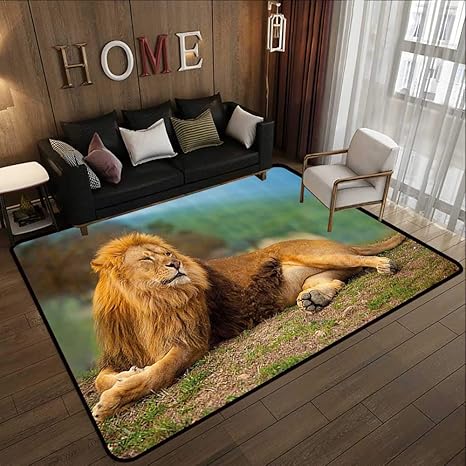Amazon Com Throw Rugs Africa A Lion Lying And Resting On