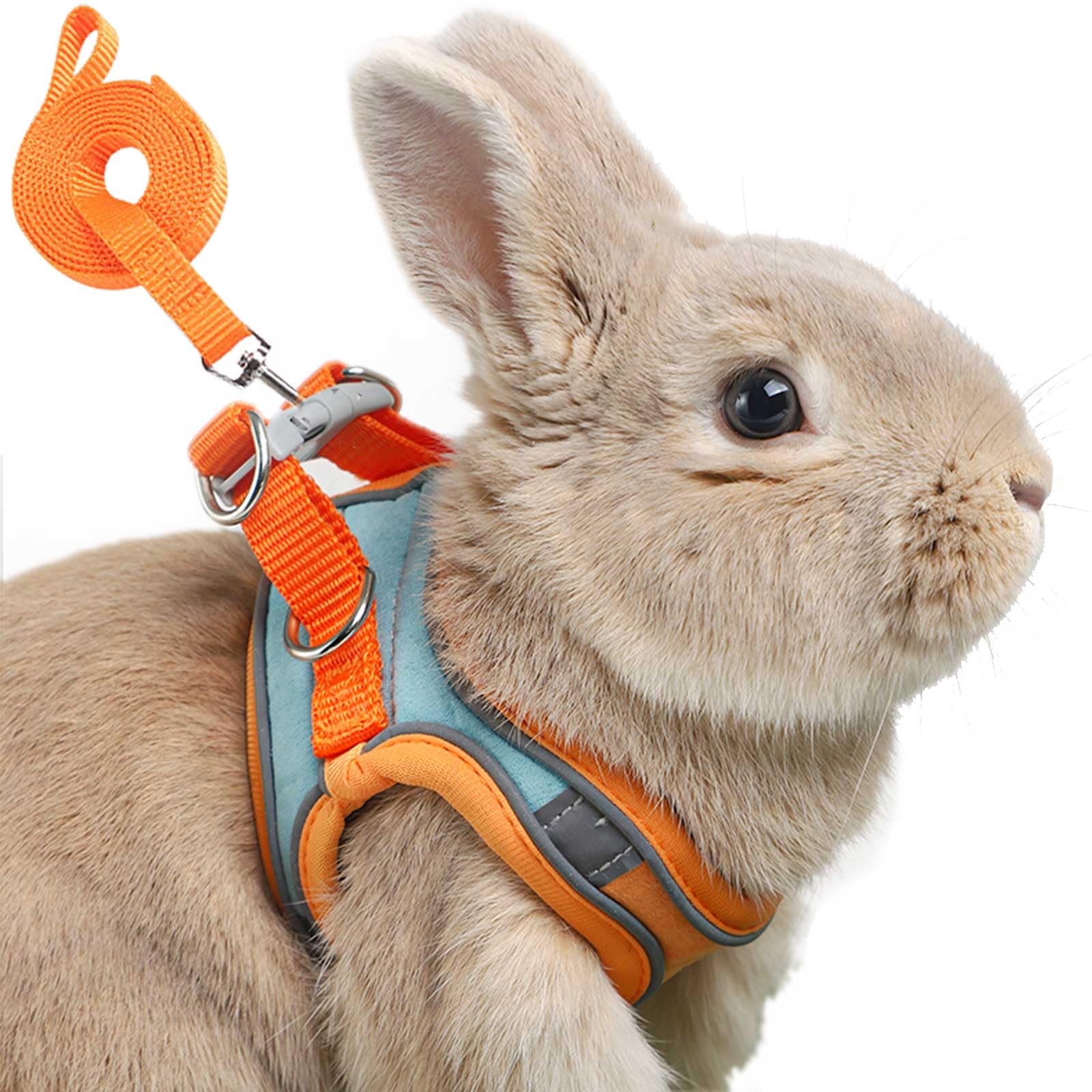 Photo 1 of Adjustable Bunny Harness and Leash Set Double Buckle with Reflective Strips Rabbit Vest Pets Stuff Suitable for Rabbit Walks Accessories(Orange Green, M)