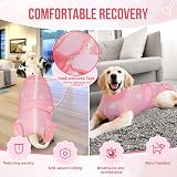 SlowTon Dog Recovery Suit Anti-Licking Medical Onesie with Zipper view 4