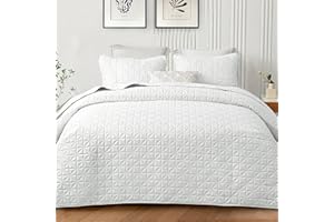 Exclusivo Mezcla Queen Quilt Bedding Set for All Seasons, Lightweight Soft White Quilts Queen Size Bedspreads Coverlets Bed Cover with Geometric Stitched Pattern, (1 Quilt, 2 Pillow Shams)