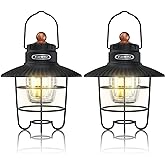 EverBrite LED Camping Lantern Pack of 2, USB C Rechargeable Lantern with 3 Light Modes, Vintage Outdoor Lanterns with Power Bank Function for Power Outages, Hurricane, Emergency, Fishing