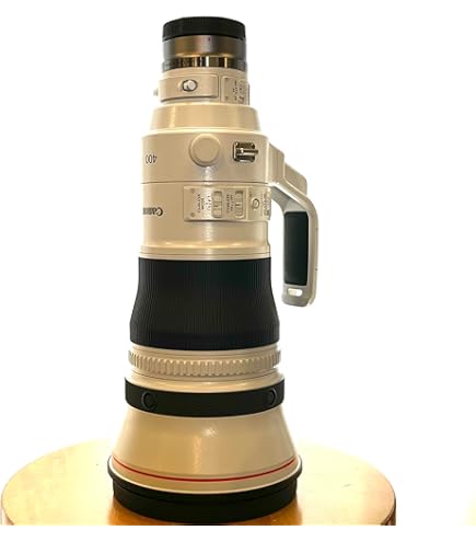 Amazon.com : Canon EF 300mm f/2.8L IS USM Telephoto Lens for Canon