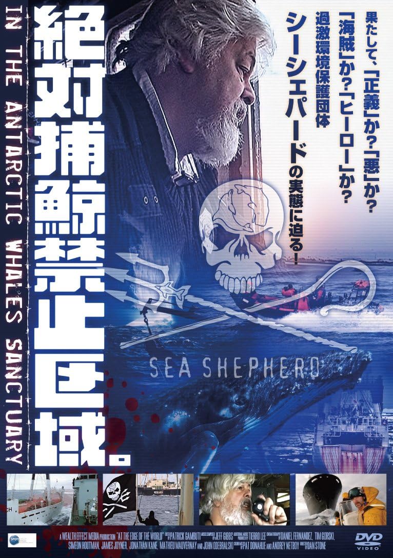 Amazon 絶対捕鯨禁止区域 In The Antarctic Whales Sanctuary Dvd 映画