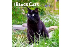 Black Cats | 2026 7 x 14 Inch (Hanging) Monthly Mini Wall Calendar | BrownTrout | Animals Feline Pets
