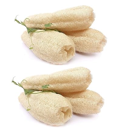 BuyandCheers 6 Pieces Natural Body Scrubber Sponges Organic Wash Loofah to Remove Dead Skin Cells (Size 10-12 cm) | Increase Blood Circulation, Control Anti-wrinkles | Alternative to Plastic Sponge