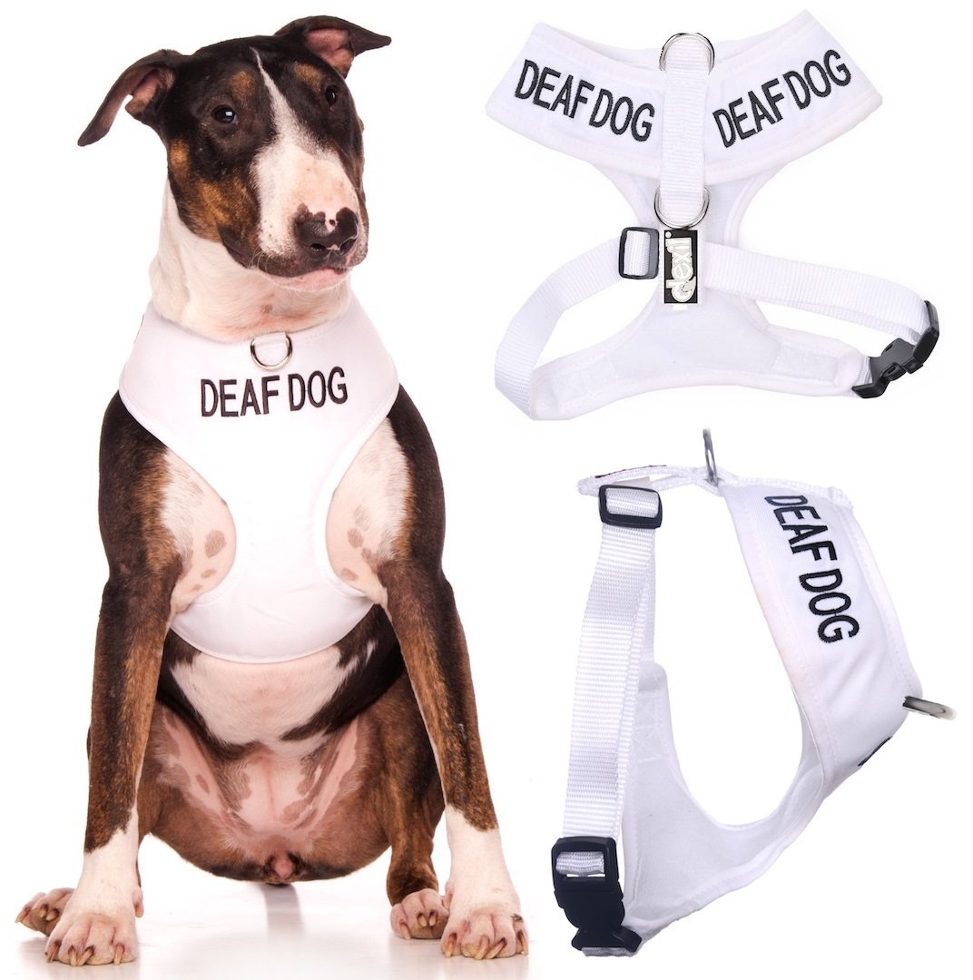 Dexil DEAF DOG (Dog Has Limited/No Hearing) White Colour Coded Non-Pull Front and Back D Ring Padded and Waterproof Vest Dog Harness PREVENTS Accidents By Warning Others Of Your Dog In Advance (L)