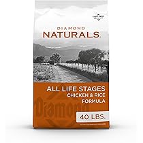 Amazon.com: Diamond Naturals Dry Food for Adult Dog, Beef