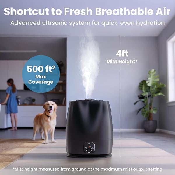 EVERLASTING COMFORT 6L HUMIDIFIERS FOR BEDROOM, QUIET 50HR RUNTIME NO-FILTER SUPERSIZED COOL MIST HUMIDIFIER LARGE ROOM FOR WHOLE HOUSE, PLANTS, BABY NURSERY, ALLERGIES, DRY SKIN, CONGESTION, INDOOR