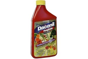 GARDENTECH Daconil® Fungicide Concentrate for Insects 16 oz. - 100523634
