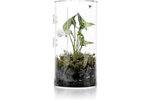 LYL LEYOULAND Jumping Spider Enclosure, 11.5”*6”*6”, Air Hole 3/64" Micro Habitat Terrariums, Arboreal Reptile Tank with Front Opening Door,Tarantula Enclosure, Plant Greenhouse