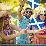 AhfuLife 15pc Scottish Flags on Sticks 14x21cm 30cm Poles Burns Night view 6