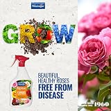 Toprose Fungus Control and Protect ready to use 1L Phostrogen Roses view 3