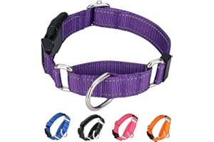 BXPAW Martingale Collar for Dogs,Reflective No Pull Dog Collars with Quick Release Buckle,Adjustable Nylon Martingale Dog Collar for Walking Training(Purple, Small)