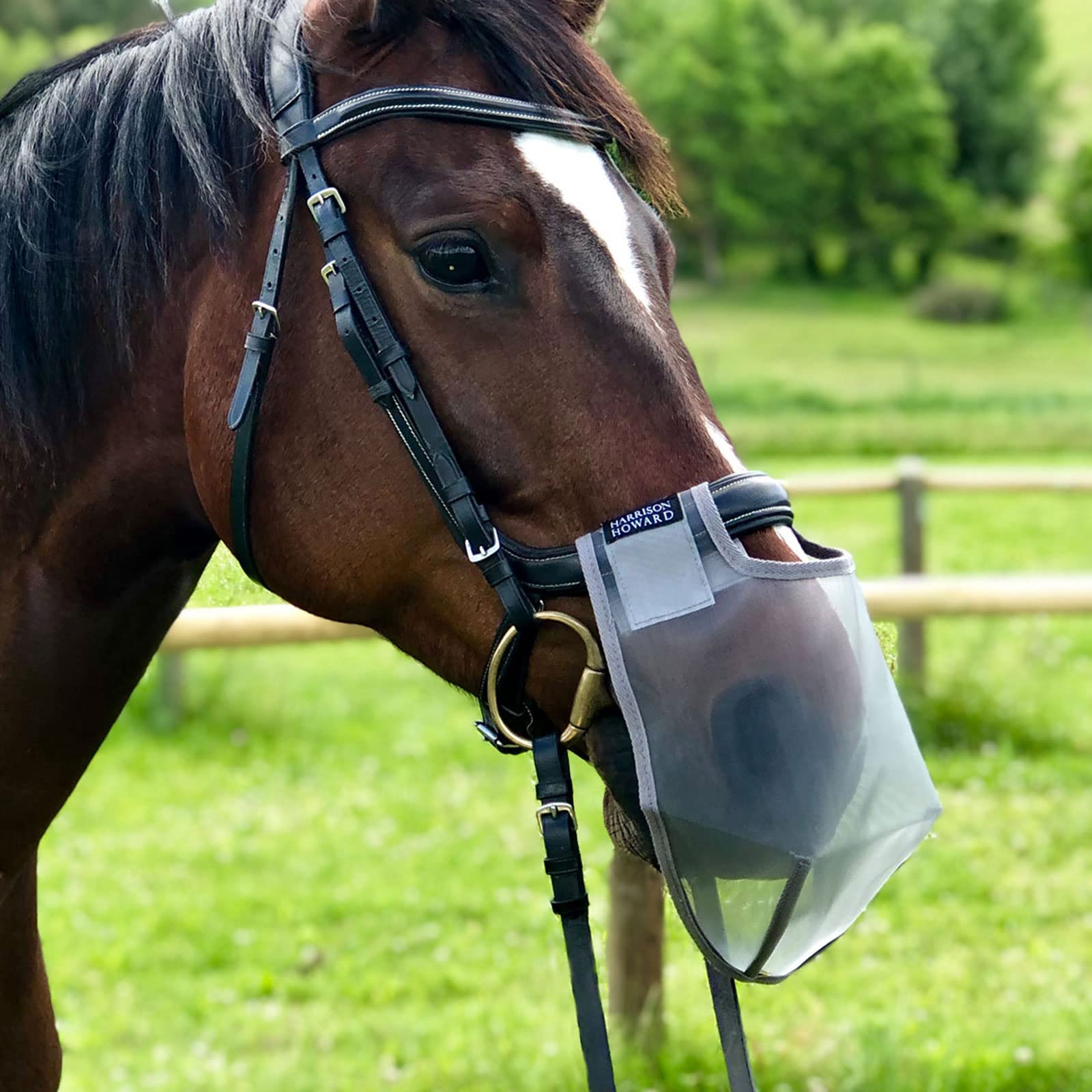 Harrison Howard Nose Net Nose Filter Nose Cover Reduces Head-Shaking Breathable & Protective for Sensitive Nostril Silver Cob