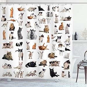 Ambesonne Cat Lover Shower Curtain, Group of Cats and Kitten Lying Down Meowing Purebred Norwegian Siamese, Cloth Fabric Bathroom Decor Set with Hooks, 70