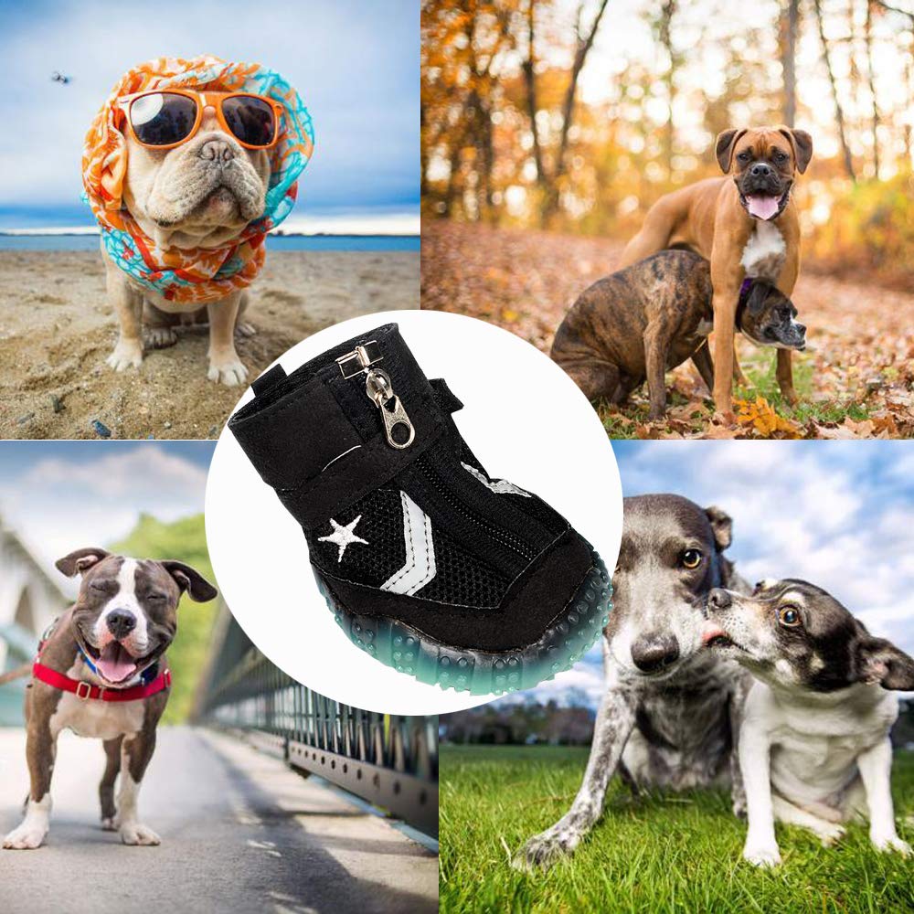 Sforza Hundeschuhe Pfotenschutz Hund, Gemütlich Sole mit Leuchtend bei Dunkelheit, Schwarz M