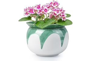 LITUDISO Self Watering Pots for Indoor Plants, 6 Inch African Violet Pots, Easy Plant Self Watering Planter, Ceramic Plant Pot with Absorbent Inner Pot for Flowers,Flower Pots - Gradient Green