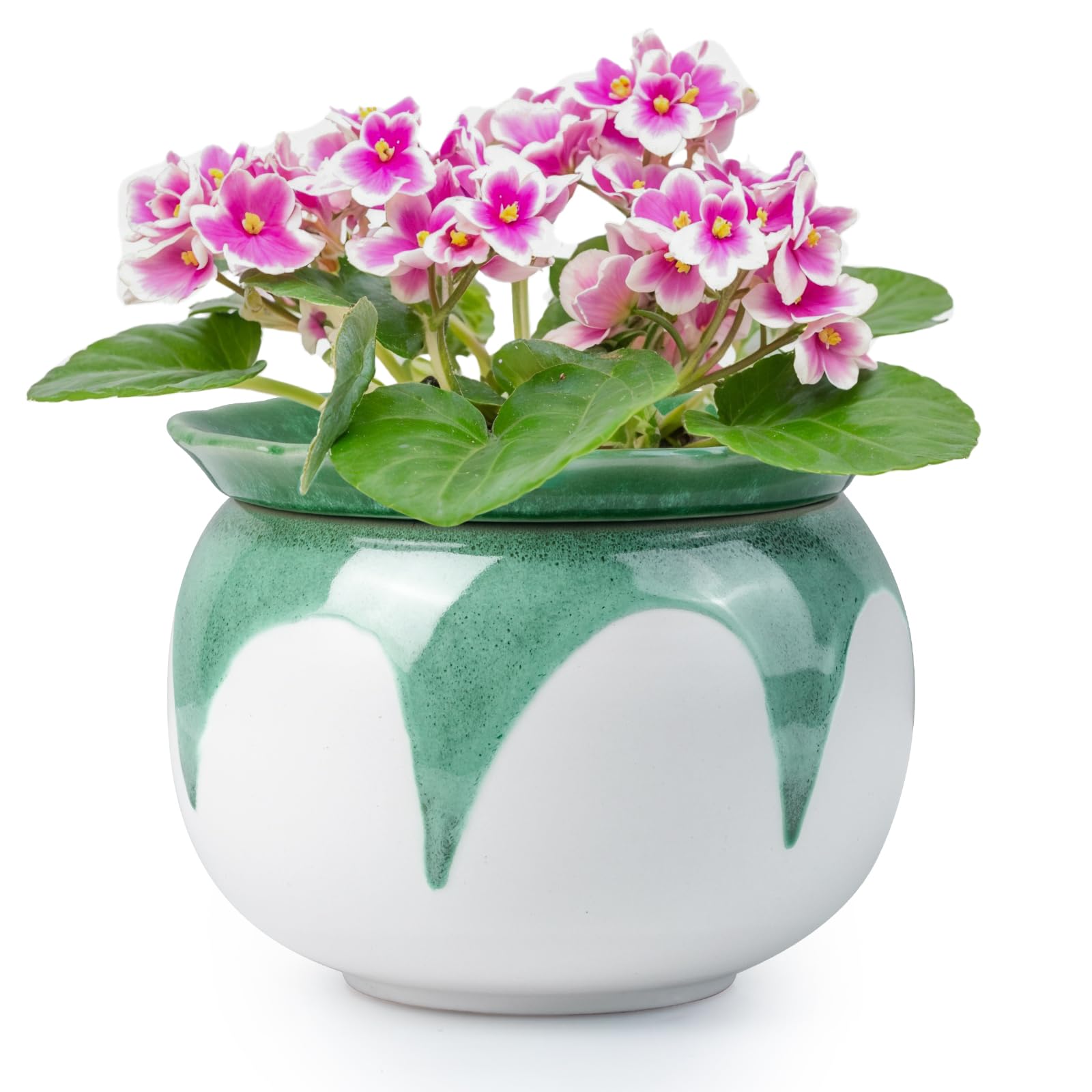 Photo 1 of (Used/Fair) UDISO African Violet Pots, 6 Inch Self Watering Pots for Indoor Plants, Easy Plant Self Watering Planter, Ceramic Plant Pot with Absorbent Inner Pot for Flowers - Gradient Green (No Plants)