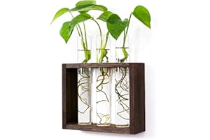 Kingbuy Wall Hanging Glass Planter Propagation Station Test Tube Vase in Vintage Wood Stand Rack with 3 Tabletop Terrarium Windowsill Accessory, Wedding, Kitchen, Dining Table Centerpiece