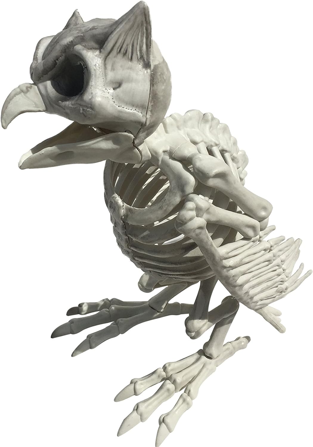 Owl Skeleton Halloween Decoration Toys & Games